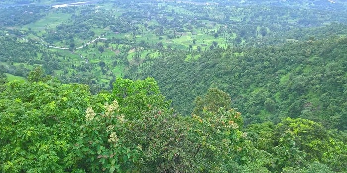Wilson Hills; Dharampur