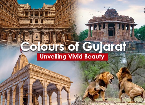 Colours of Gujarat Tour