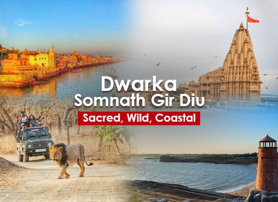 Dwarka Somnath Gir Diu Tour