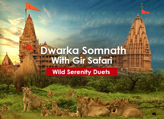 Dwarka Somnath with Gir Tour