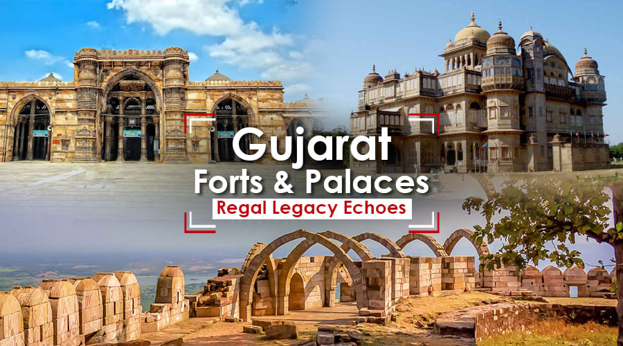 Gujarat Tour of Forts and Palaces gallery photo 1