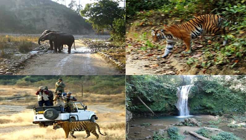 Corbett National Park, Terai Belt