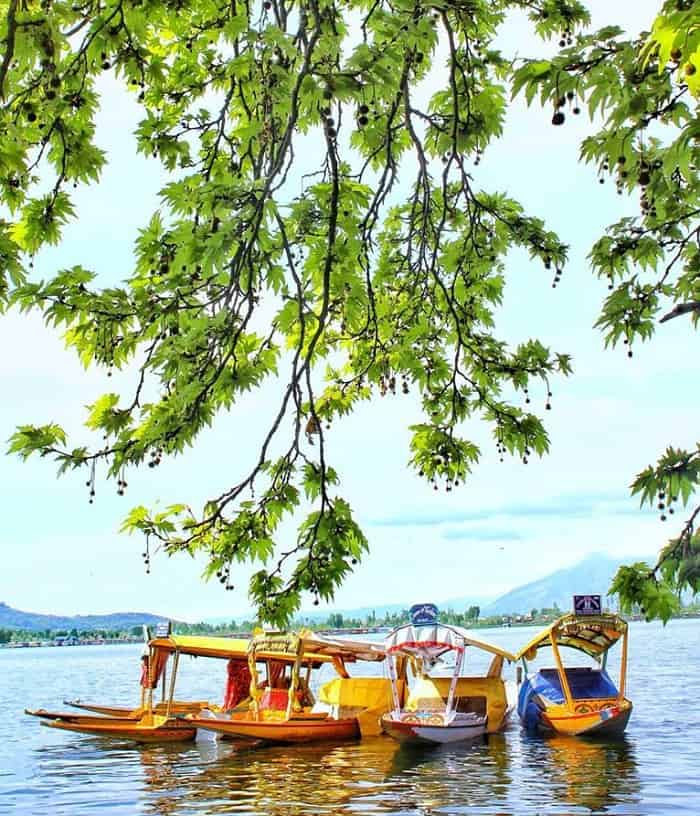 Dal Lake