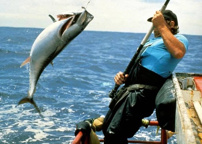 Fishing for Tuna