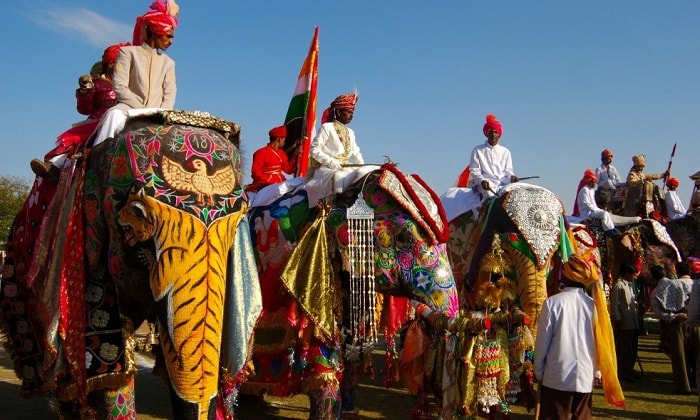 Elephant Festival