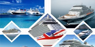 Important Tips for Cruise