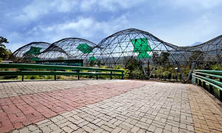 Geodesic Aviary Domes