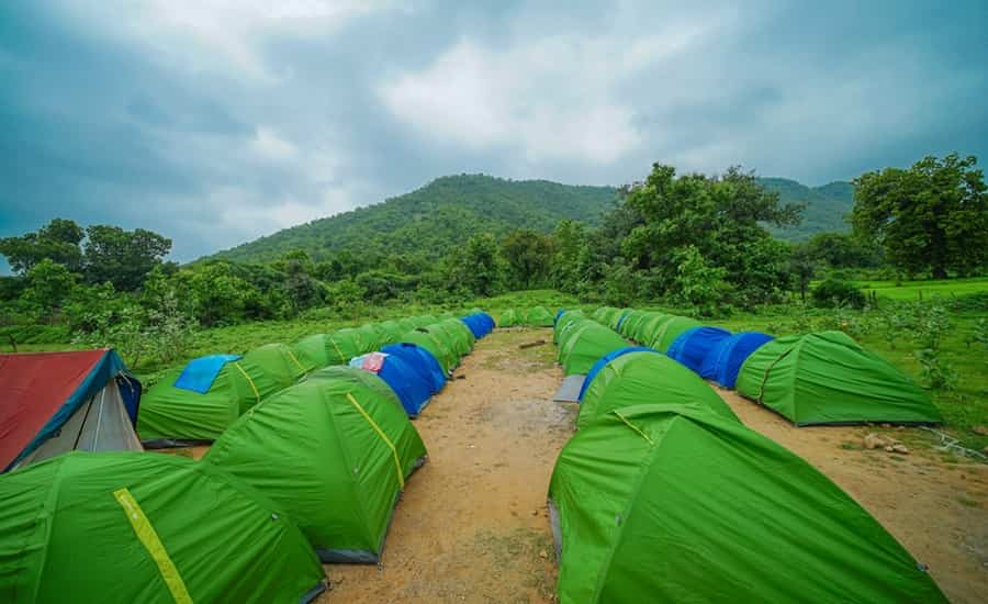 Camping at Polo Forest