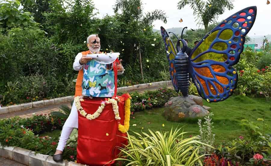 Butterfly Garden, Gujarat