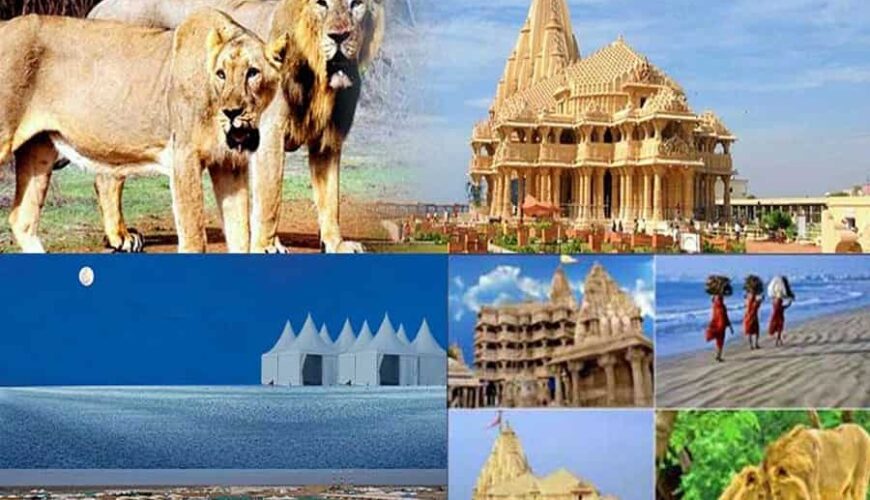 Gujarat Tour Package from Delhi