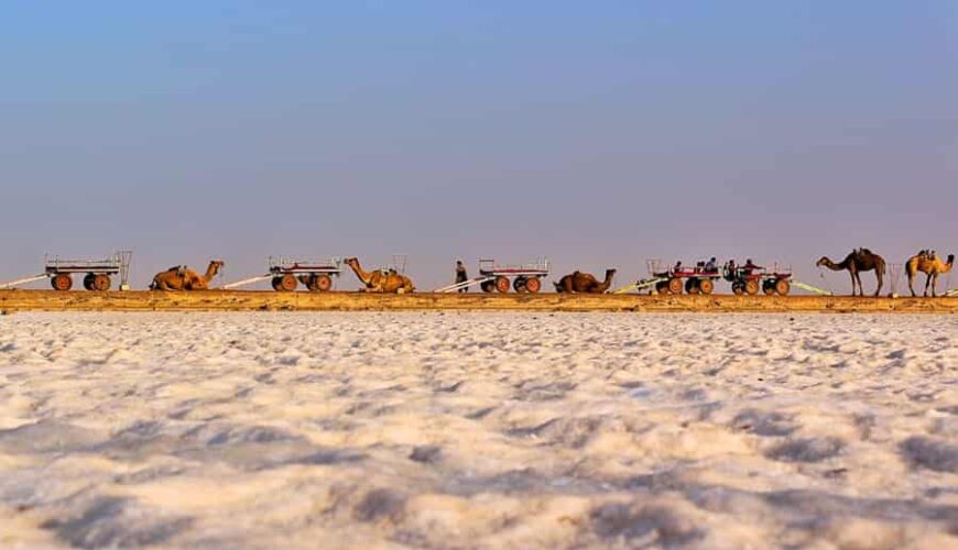 How to Plan Kutch Tour Package