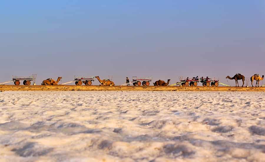 How to Plan Kutch Tour Package