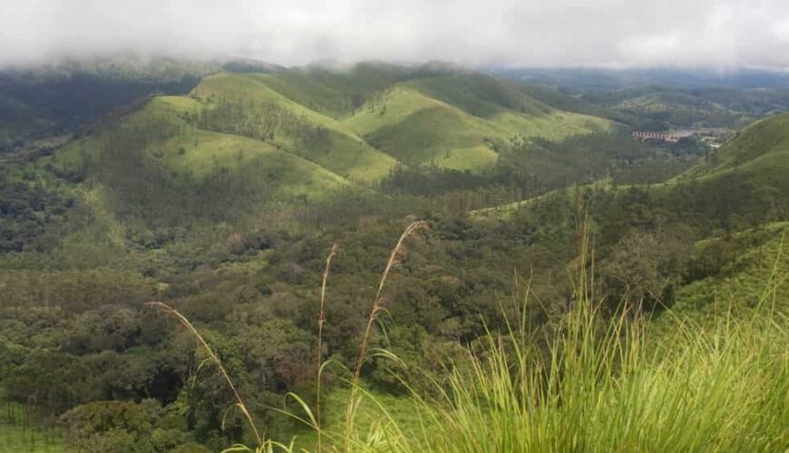 Banni Grassland Reserve