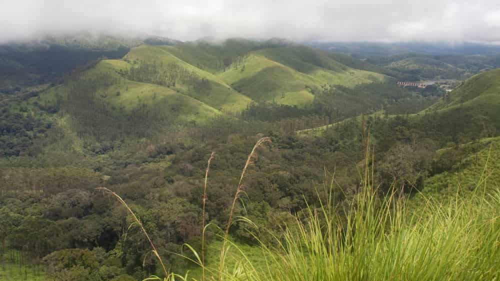 Banni Grassland Reserve
