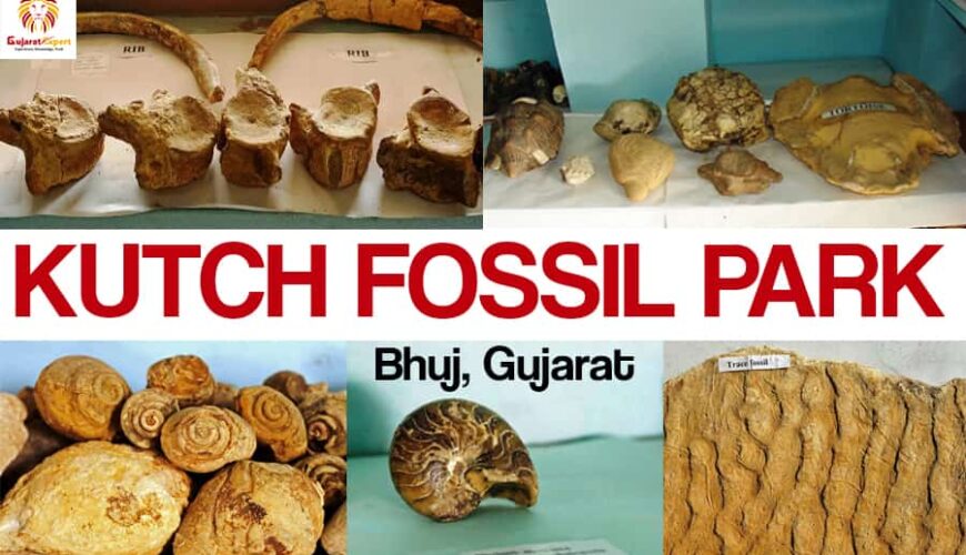 Kutch Fossil Park, Bhuj, Gujarat