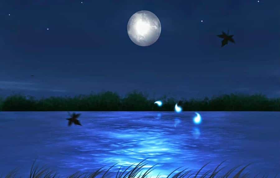 Chir Batti, Rann of Kutch