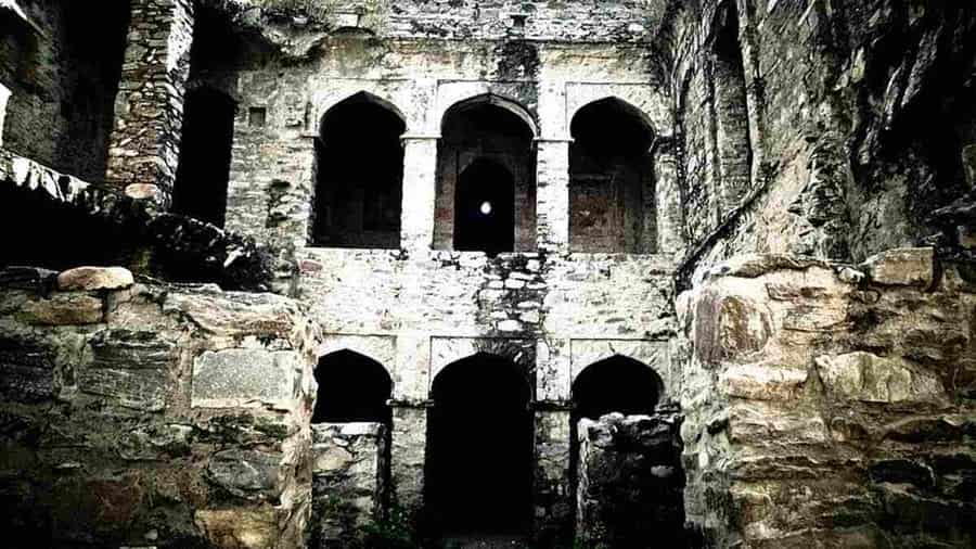 Signature Farm, Ahmedabad