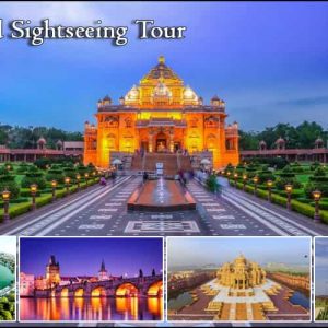 Full Day Sightseeing Tour of Ahmedabad