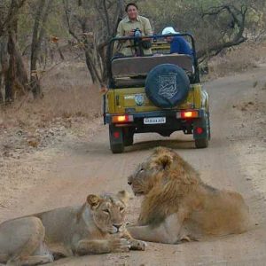 Wildlife Experiences in Gujarat