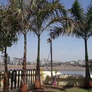 Things To Do And See In Surat