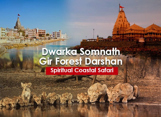 Dwarka Somnath Gir Tour