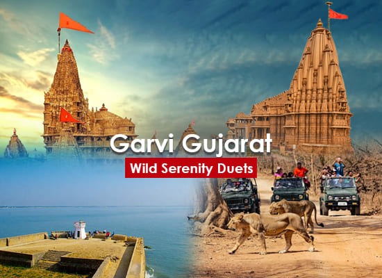 Garvi Gujarat Tour