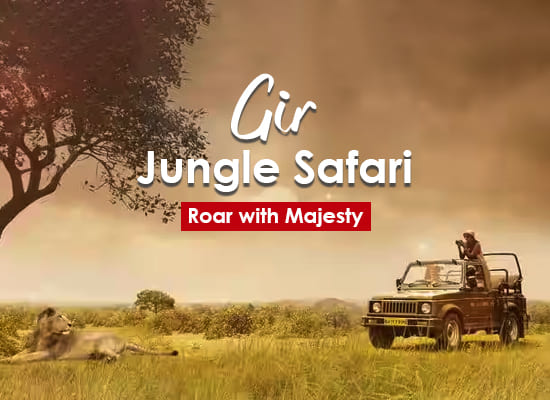 Gir Jungle Safari Tour
