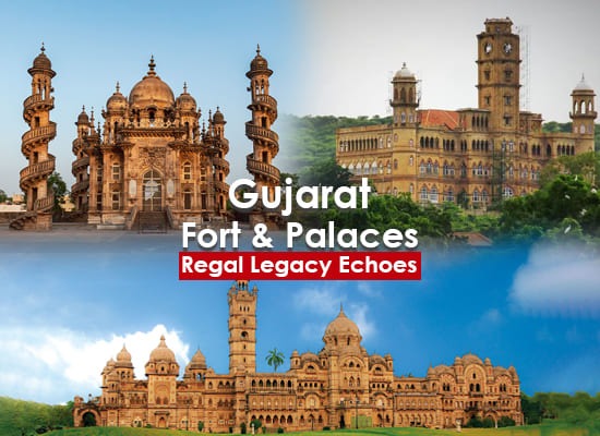 Gujarat Tour of Forts and Palaces