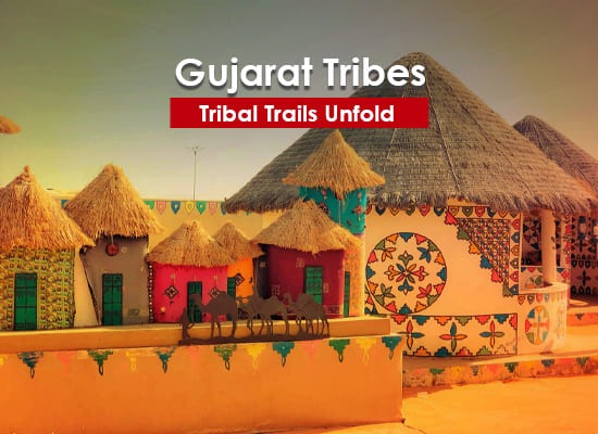 Gujarat Tribes Tour