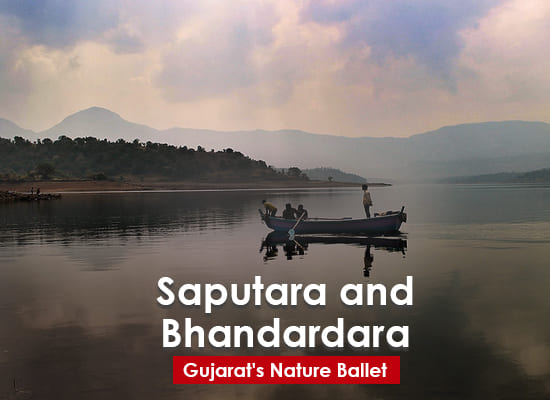 Saputara & Bhandardara Tour