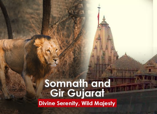 Somnath And Gir Gujarat Tour